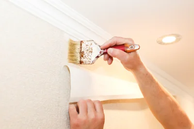 Pose de papier peint à Gimel-les-Cascades — revêtements muraux et toiles de verre